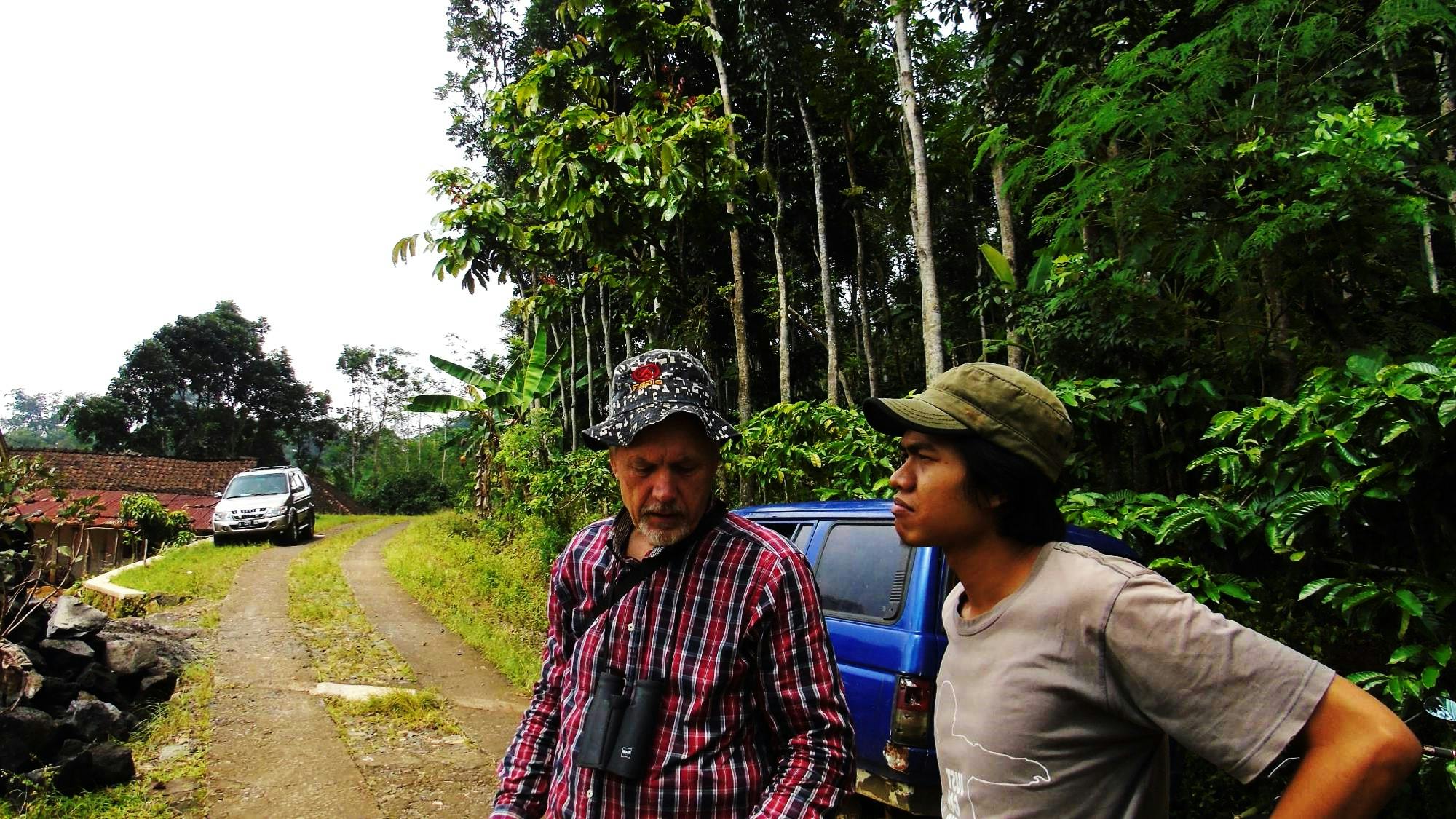 Cover Image for Site Project: Hutan Kemuning, Temanggung, Jawa Tengah