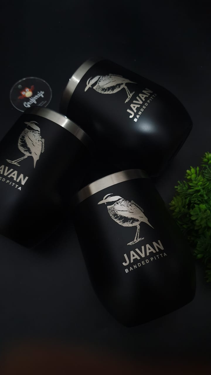 Paok Tumblr: Vivid Colors for Clean Habitats