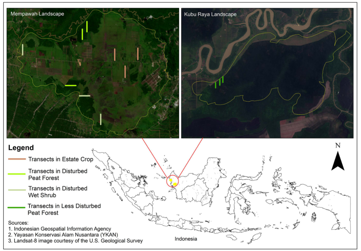 Effect of canal blocking on biodiversity of degraded peatlands: Insight from West Kalimantan