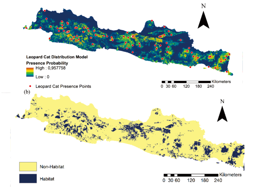 The Importance of Unprotected Areas as Habitat for The Leopard Cat (Prionailurus bengalensis javanensis Desmarest, 1816) on Java, Indonesia