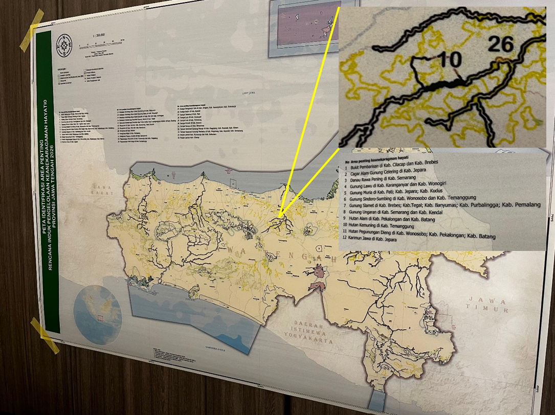 Pertumbuhan Tanpa Batas